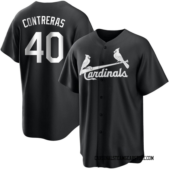 St. Louis Cardinals Willson Contreras Light Blue Alternate Replica Jersey